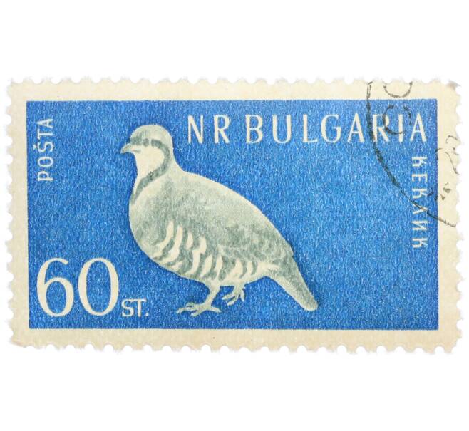 Почтовая марка 60 стотинок 1959 года Болгария «Каменная куропатка» (Артикул: P2-1417) — Фото №1