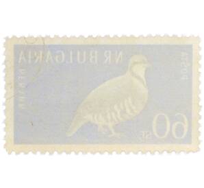 Почтовая марка 60 стотинок 1959 года Болгария «Каменная куропатка» — Фото №2