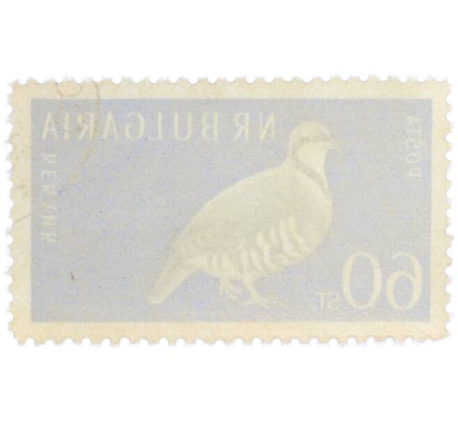 Почтовая марка 60 стотинок 1959 года Болгария «Каменная куропатка» (Артикул: P2-1417) — Фото №2