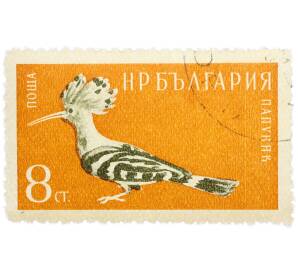 Почтовая марка 8 стотинок 1959 года Болгария «Удод» — Фото №1