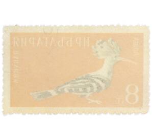 Почтовая марка 8 стотинок 1959 года Болгария «Удод» — Фото №2