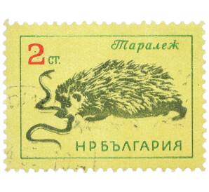 Почтовая марка 2 стотинки 1963 года Болгария «Восточноевропейский еж» — Фото №1