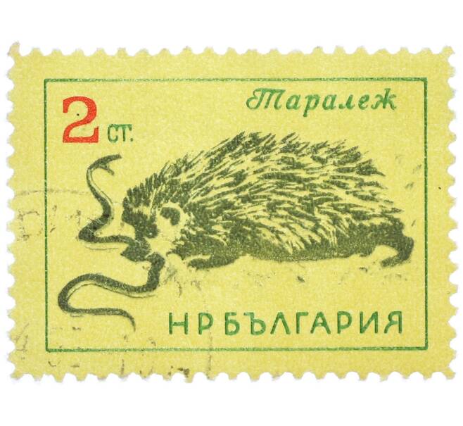 Почтовая марка 2 стотинки 1963 года Болгария «Восточноевропейский еж» (Артикул: P2-1437) — Фото №1