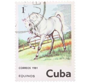 Почтовая марка 1 сентаво 1981 года Куба «Белая лошадь» — Фото №1