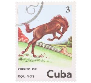 Почтовая марка 3 сентаво 1981 года Куба «Коричневая лошадь» — Фото №1