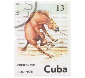 Почтовая марка 13 сентаво 1981 года Куба «Рыжая лошадь» — Фото №1