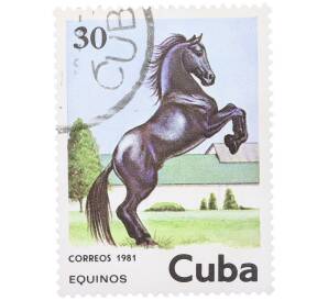 Почтовая марка 30 сентаво 1981 года Куба «Черная лошадь» — Фото №1