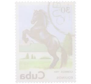 Почтовая марка 30 сентаво 1981 года Куба «Черная лошадь» — Фото №2