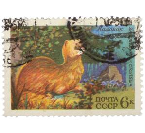 Почтовая марка 6 копеек 1975 года «Сибирский колонок» — Фото №1