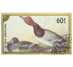 Почтовая марка 60 мунгу 1986 года Монголия «Красноголовый нырок» — Фото №1