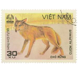 Почтовая марка 30 су 1981 года Вьетнам «Дикий волк (Cuon alpinus)» — Фото №1