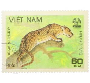 Почтовая марка 60 су 1981 года Вьетнам «Леопард (Panthera pardus)» — Фото №1