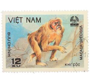 Почтовая марка 12 су 1981 года Вьетнам «Короткохвостая макака (Macaca arctoides)» — Фото №1