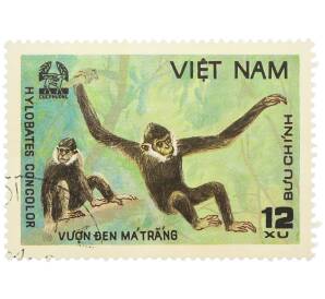 Почтовая марка 12 су 1981 года Вьетнам «Черношапочный гиббон (Nomascus concolor)» — Фото №1