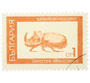 Почтовая марка 1 стотинка 1968 года Болгария «Насекомые — Жук-носорог (Oryctes nasicornis)» — Фото №1