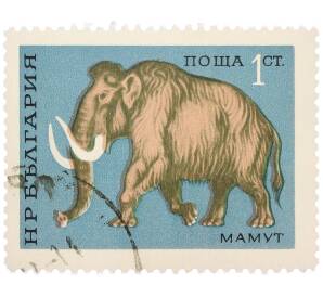 Почтовая марка 1 стотинка 1971 года Болгария «Шерстистый мамонт (Mammuthus)» — Фото №1