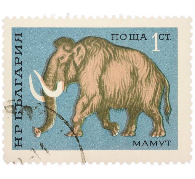 Почтовая марка 1 стотинка 1971 года Болгария «Шерстистый мамонт (Mammuthus)» (Артикул: K12-78320) — Фото №1