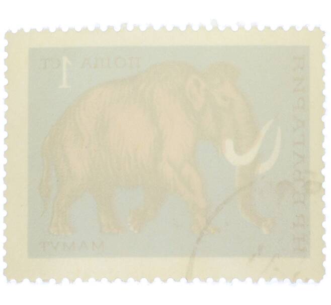 Почтовая марка 1 стотинка 1971 года Болгария «Шерстистый мамонт (Mammuthus)» (Артикул: K12-78320) — Фото №2
