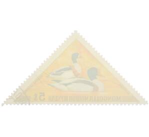 Почтовая марка 5 мунгу 1973 года Монголия «Водоплавающие птицы — Пеганка (Tadorna tadorna)» — Фото №2