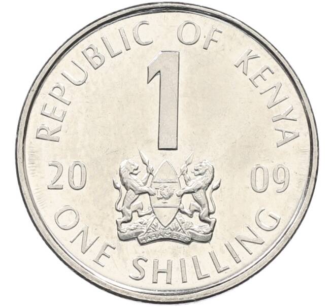 Монета 1 шиллинг 2009 года Кения (Артикул: K12-78430) — Фото №1