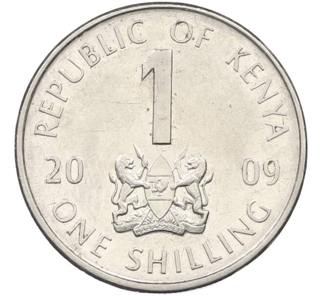 Монета 1 шиллинг 2009 года Кения (Артикул: K12-78431) — Фото №1