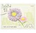 Почтовая марка 40 чон 1976 года Северная Корея «Цветы — Каллистефус» (Артикул: K12-78577) — Фото №1