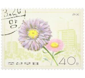 Почтовая марка 40 чон 1976 года Северная Корея «Цветы — Каллистефус» — Фото №1