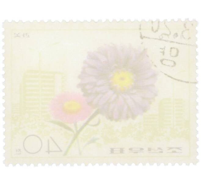 Почтовая марка 40 чон 1976 года Северная Корея «Цветы — Каллистефус» (Артикул: K12-78577) — Фото №2