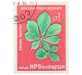 Почтовая марка 1 стотинка 1976 года Болгария «Редкие деревья и кустарники — Конский каштан» (Артикул: K12-78578) — Фото №1