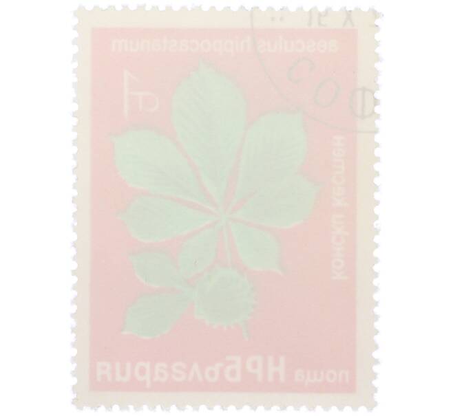 Почтовая марка 1 стотинка 1976 года Болгария «Редкие деревья и кустарники — Конский каштан» (Артикул: K12-78578) — Фото №2