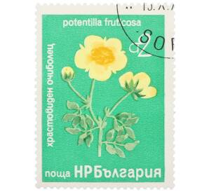 Почтовая марка 2 стотинки 1976 года Болгария «Редкие деревья и кустарники — Лапчатка кустарниковая» — Фото №1