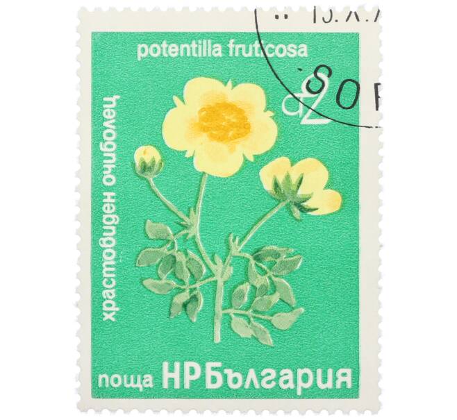 Почтовая марка 2 стотинки 1976 года Болгария «Редкие деревья и кустарники — Лапчатка кустарниковая» (Артикул: K12-78579) — Фото №1