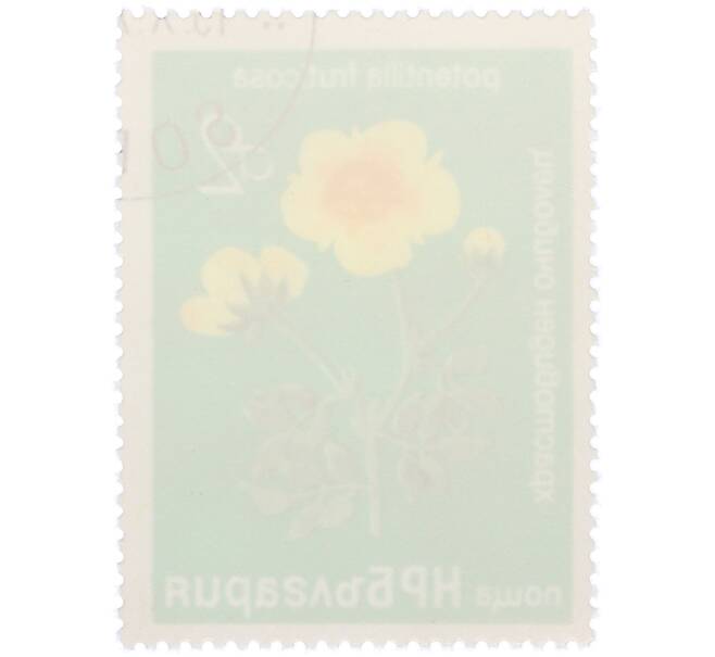 Почтовая марка 2 стотинки 1976 года Болгария «Редкие деревья и кустарники — Лапчатка кустарниковая» (Артикул: K12-78579) — Фото №2