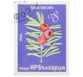 Почтовая марка 8 стотинок 1976 года Болгария «Редкие деревья и кустарники — Тис ягодный» (Артикул: K12-78581) — Фото №1