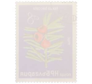 Почтовая марка 8 стотинок 1976 года Болгария «Редкие деревья и кустарники — Тис ягодный» — Фото №2