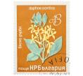 Почтовая марка 13 стотинок 1976 года Болгария «Редкие деревья и кустарники — Волчеягодник понтийский» (Артикул: K12-78582) — Фото №1