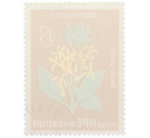 Почтовая марка 13 стотинок 1976 года Болгария «Редкие деревья и кустарники — Волчеягодник понтийский» — Фото №2