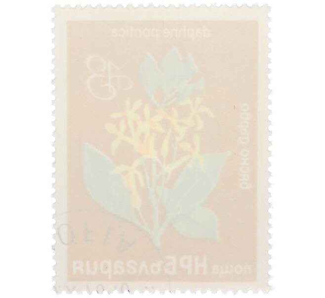 Почтовая марка 13 стотинок 1976 года Болгария «Редкие деревья и кустарники — Волчеягодник понтийский» (Артикул: K12-78582) — Фото №2