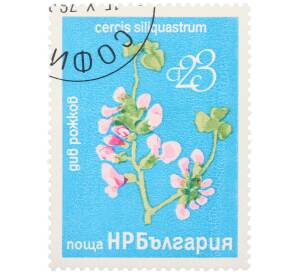 Почтовая марка 23 стотинки 1976 года Болгария «Редкие деревья и кустарники — Иудино дерево» — Фото №1
