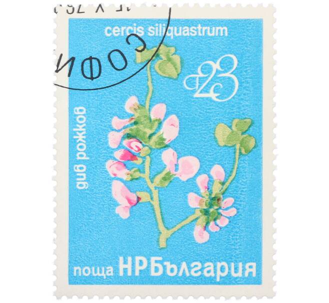 Почтовая марка 23 стотинки 1976 года Болгария «Редкие деревья и кустарники — Иудино дерево» (Артикул: K12-78583) — Фото №1