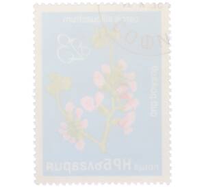 Почтовая марка 23 стотинки 1976 года Болгария «Редкие деревья и кустарники — Иудино дерево» — Фото №2