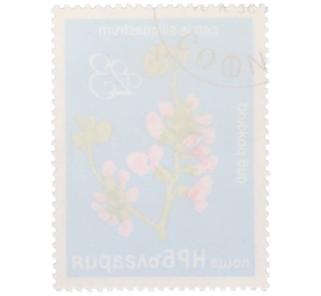 Почтовая марка 23 стотинки 1976 года Болгария «Редкие деревья и кустарники — Иудино дерево» (Артикул: K12-78583) — Фото №2