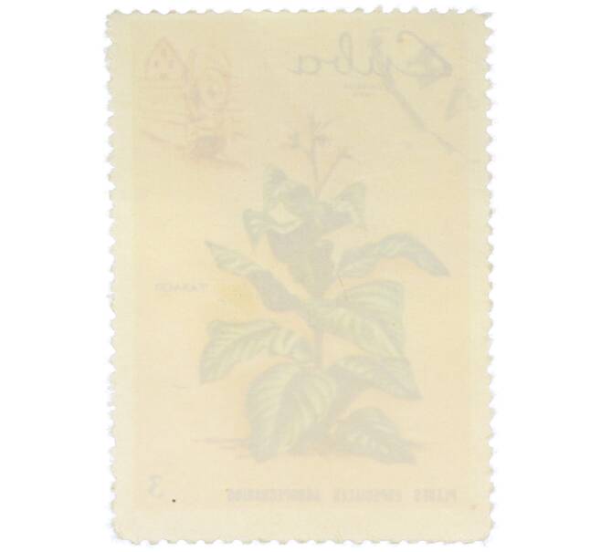 Почтовая марка 3 сентаво 1969 года Куба «Сельское хозяйство — Табак» (Артикул: K12-78584) — Фото №2