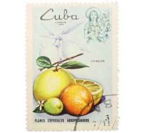 Почтовая марка 3 сентаво 1969 года Куба «Сельское хозяйство — Фрукты» — Фото №1