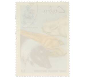 Почтовая марка 10 сентаво 1969 года Куба «Сельское хозяйство — Свиноводство» — Фото №2