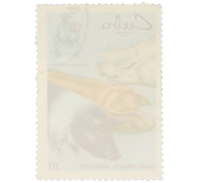 Почтовая марка 10 сентаво 1969 года Куба «Сельское хозяйство — Свиноводство» (Артикул: K12-78589) — Фото №2