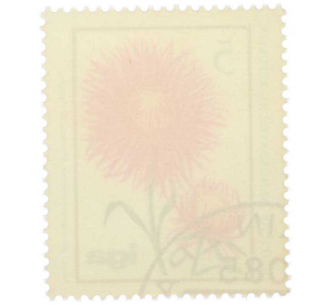 Почтовая марка 5 пфеннигов 1975 года Восточная Германия (ГДР) «Астра китайская» (Артикул: K12-78594) — Фото №2