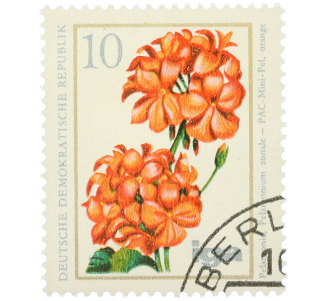 Почтовая марка 10 пфеннигов 1975 года Восточная Германия (ГДР) «Герань» (Артикул: K12-78595) — Фото №1