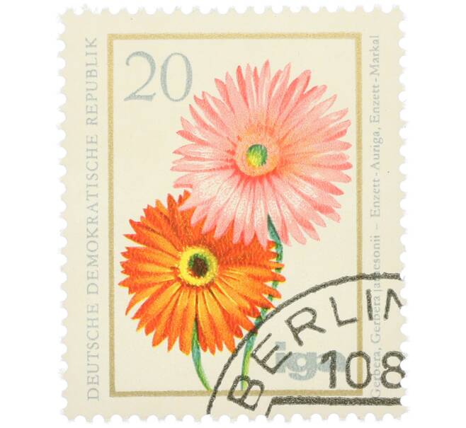 Почтовая марка 20 пфеннигов 1975 года Восточная Германия (ГДР) «Маргаритка Барбертонская» (Артикул: K12-78596) — Фото №1