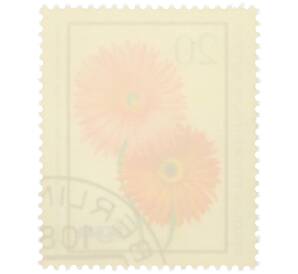 Почтовая марка 20 пфеннигов 1975 года Восточная Германия (ГДР) «Маргаритка Барбертонская» — Фото №2